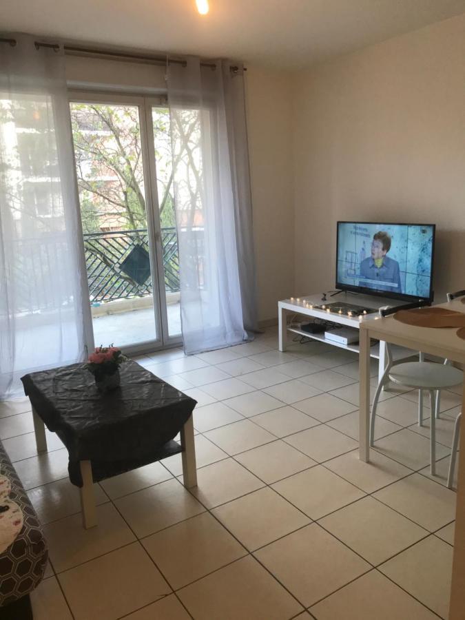 Appartement Entier T2 Avec Piscine Paradis Entierement Meuble Proche Metro Тулуза Екстериор снимка